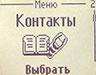 Nokia 2300