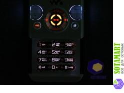 Sony Ericsson W580i