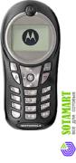 Motorola C115