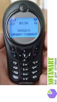 Motorola C115