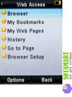 Motorola RAZR2 V8