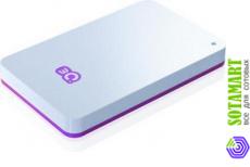 3Q U290 320GB 3QHDD-U290-PU320