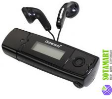 Intenso Music Runner 2GB