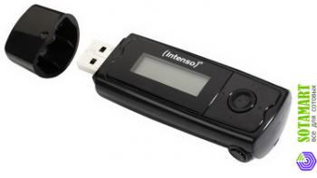 Intenso Music Runner 2GB