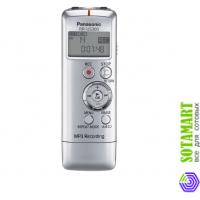 Panasonic RR-US300 2GB