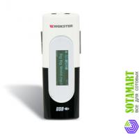 Wokster W-266 1GB