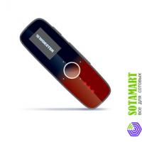Wokster W-288 2GB