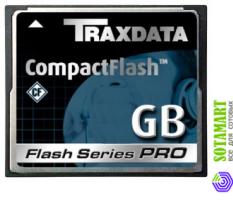 TraxData Compact Flash CF 1GB 80X Series Pro