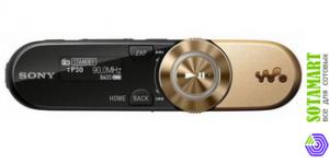 Sony NWZ-B153 4GB