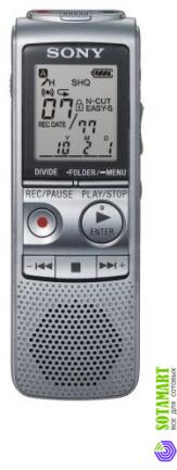 Sony ICD-BX800 2GB
