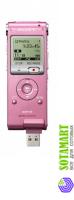 Sony ICD-UX200 2GB